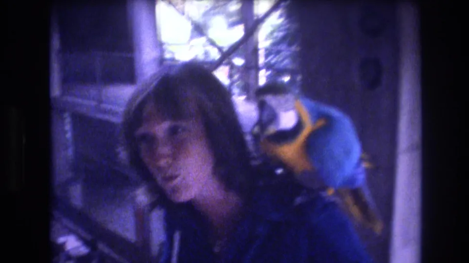 The final 1977 Honolulu frame shows the woman turning slightly in the softly exposed interior as the blue-and-yellow macaw remains calm on her shoulder.