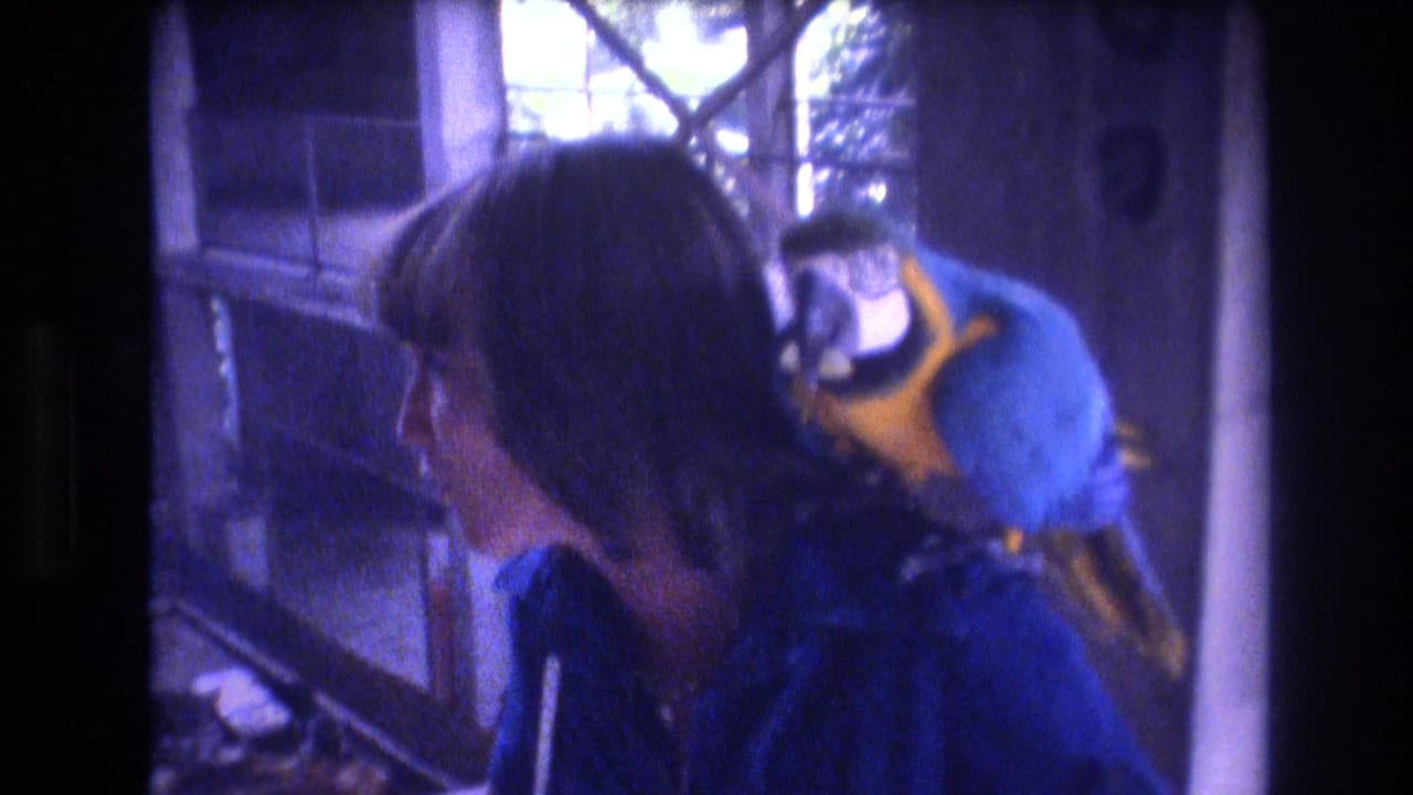 1977 Honolulu home-movie frame showing a woman in a blue jacket turned in profile while a blue-and-yellow macaw perches close behind her shoulder near a tree and railing.