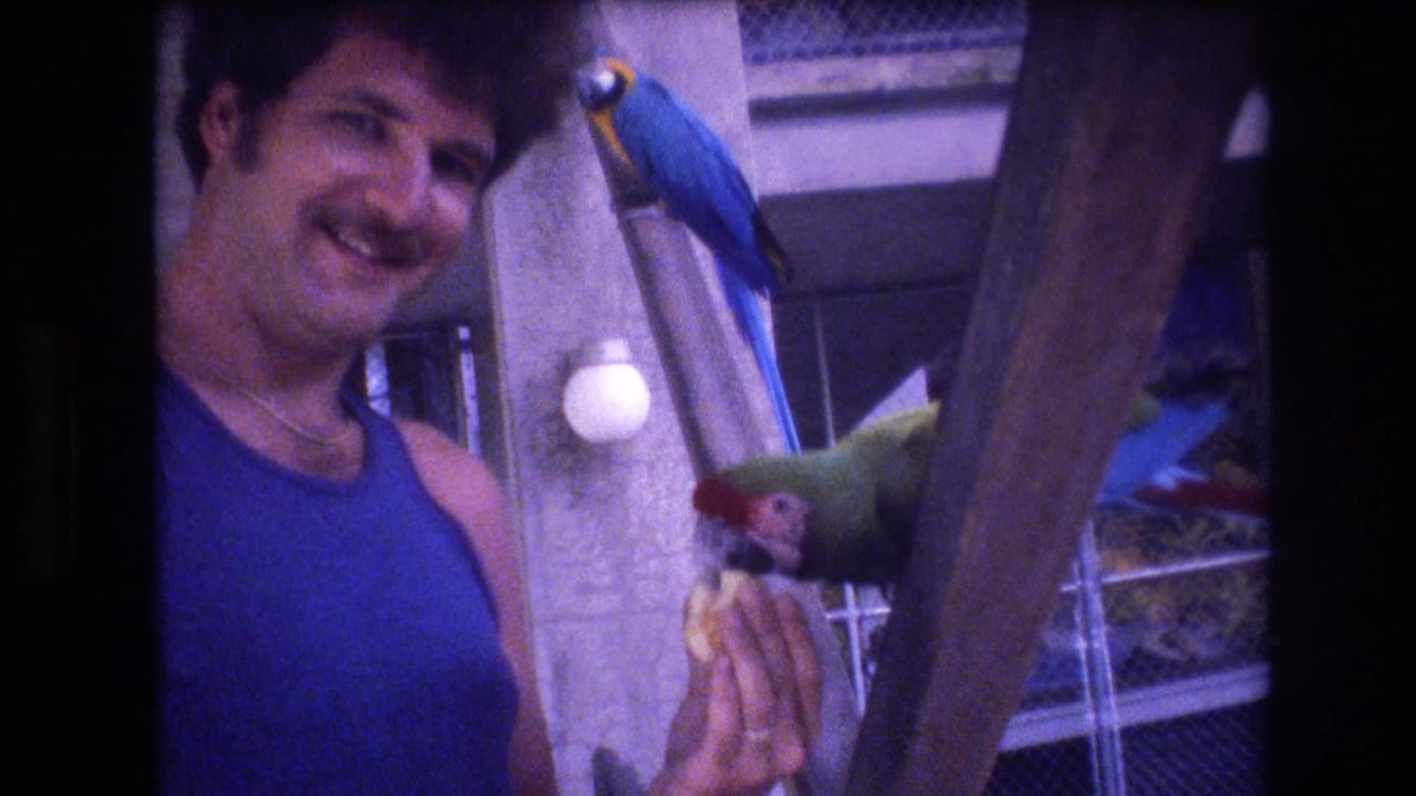 In 1977 Honolulu home-movie footage, an adult man in a blue tank top smiles while feeding fruit to a green parrot, with a blue-and-yellow macaw perched nearby in an outdoor enclosure.