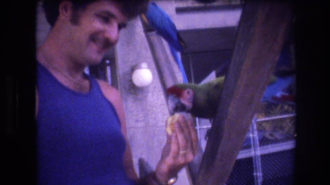 Adult man looks down at a green parrot eating fruit from his hand beside a wooden support.