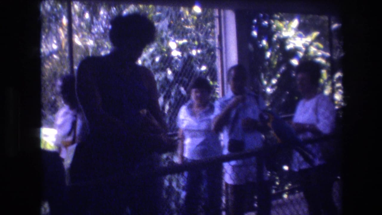In 1977 Honolulu, Oahu home-movie footage, adult visitors stand behind a railing by chain-link fencing and dense foliage while watching a bird area.