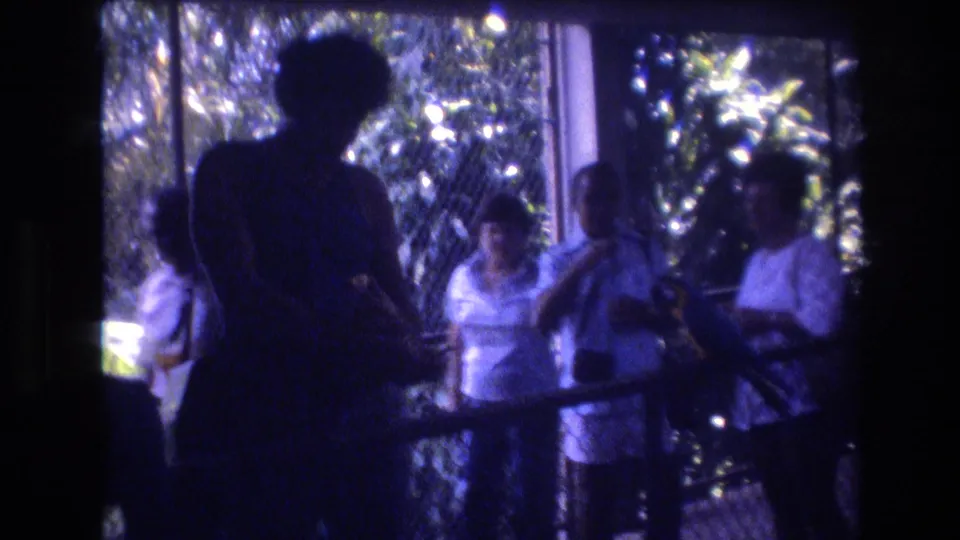 In 1977 Honolulu, Oahu home-movie footage, adult visitors stand behind a railing by chain-link fencing and dense foliage while watching a bird area.