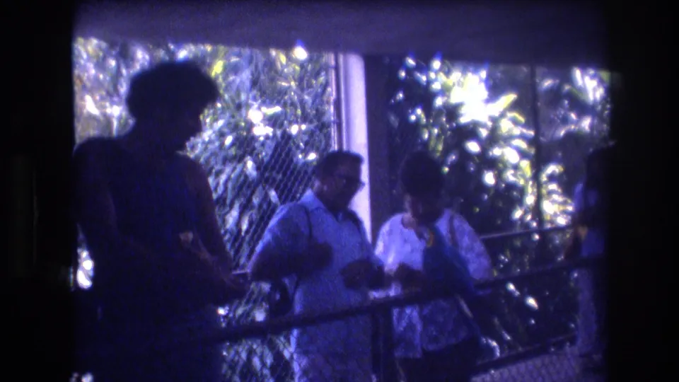 The frame shows adult visitors in casual clothing standing at a railing in a tropical enclosure, with chain-link fencing and leafy plants visible behind them.