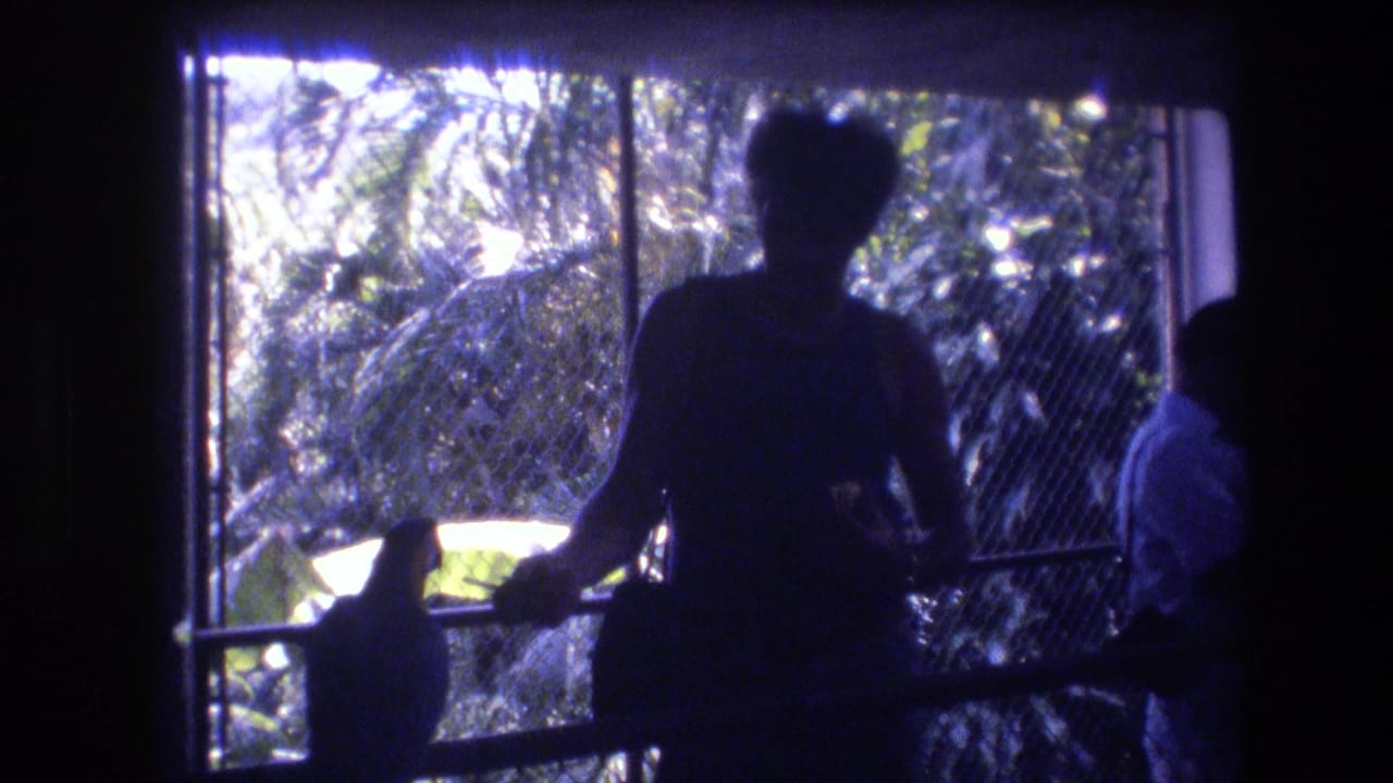 Backlit visitor reaches toward a perched bird while another person stands near the enclosure.
