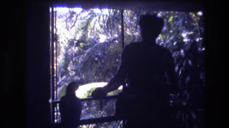 The handheld 8mm frame shows a dark visitor silhouette facing a small perched bird, with strong backlight from tropical foliage outside the aviary mesh.