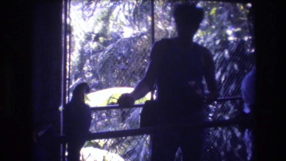 A backlit visitor remains at the aviary railing as the bird perches nearby, with the scene rendered in blue-purple 8mm color shift and deep interior shadow.