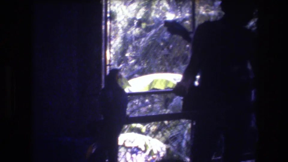 Visitors appear in deep silhouette while looking into the bright bird enclosure, with the 8mm frame showing heavy contrast and grain.