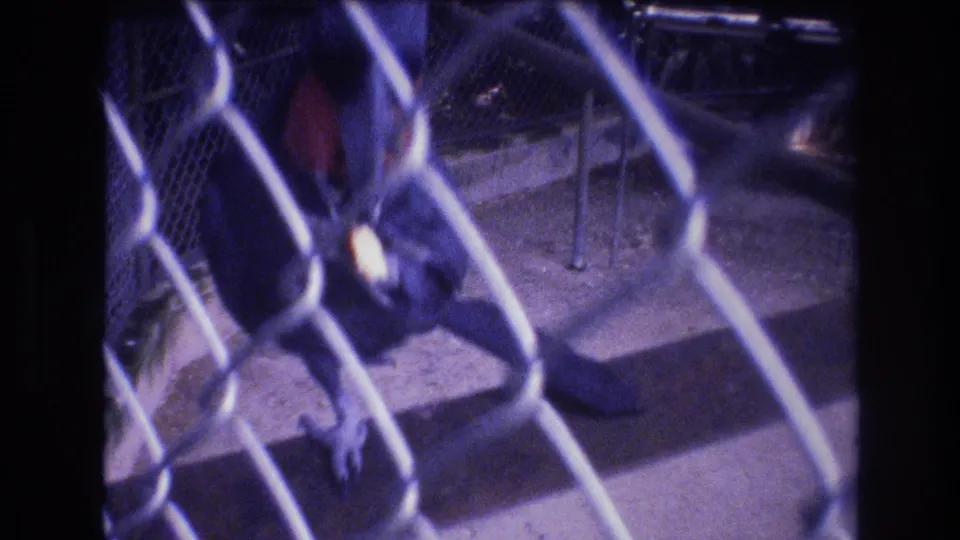 1977 Honolulu 8mm frame showing the blue macaw close to the front mesh of its enclosure, with feet, wing color, concrete ledges, and shaded habitat details visible.