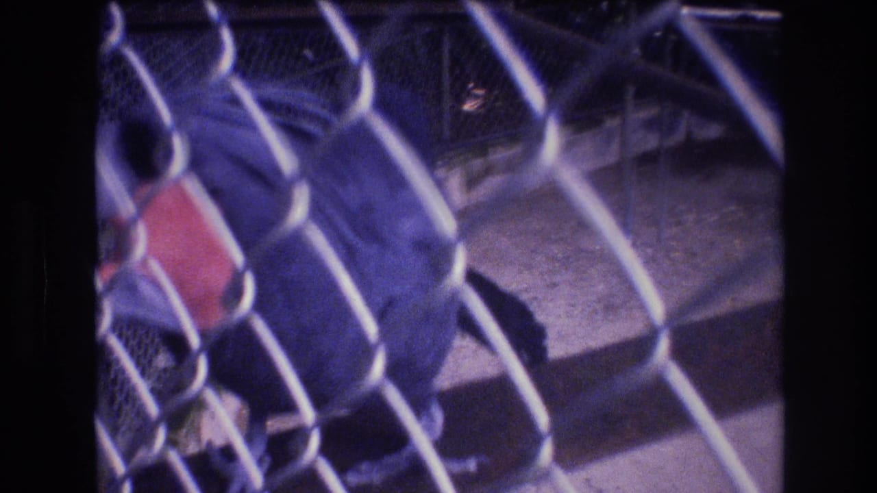 1977 Honolulu home-movie frame showing a dark bird with a red face partly obscured by chain-link fence inside a caged area.