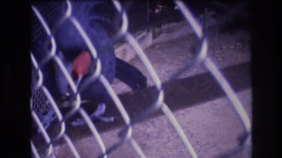 A closer handheld view shows the dark parrot and red wing patch partly obscured by chain-link fencing in the Honolulu 8mm footage.
