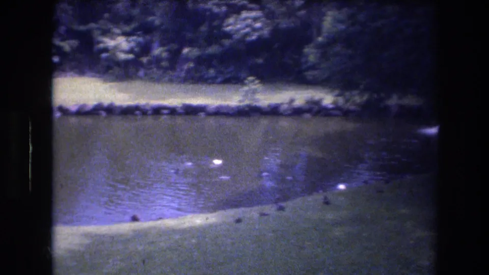 A landscaped pond in the Honolulu home-movie clip shows a pale shoreline, rocks, dense greenery, and small white birds floating on the water.