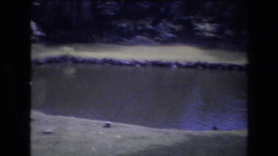 The final frame holds on the pond and pale bank, with a rocky border and dark tropical greenery in soft blue-toned 8mm texture.