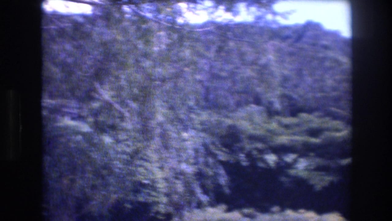1977 Honolulu and Oahu home-movie frame showing a forested mountain ridge, dense tropical vegetation, bright sky, and dark scan borders.