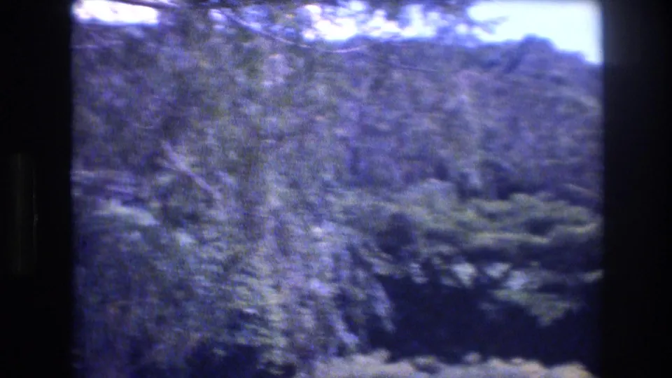 1977 Honolulu and Oahu home-movie frame showing a forested mountain ridge, dense tropical vegetation, bright sky, and dark scan borders.