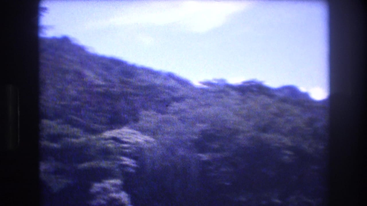 Mountain slope with trees and pale sky above.
