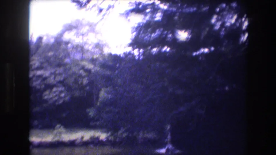 1977 Honolulu and Oahu 8mm frame looking through shaded trees and dense vegetation toward a bright open area beyond the canopy.