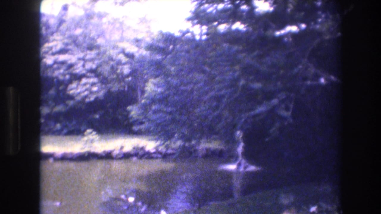 1977 Honolulu 8mm frame showing a shaded tropical pond bordered by lawn and dense trees, with a small fountain spray near the water.