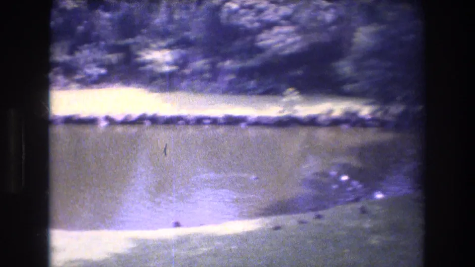 1977 Honolulu 8mm frame looking across still pond water toward a bright lawn and tree line, with faint fountain disturbance on the surface.