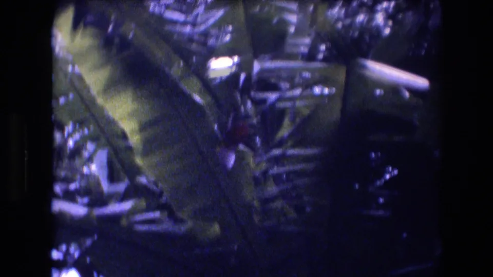 1977 Honolulu 8mm frame showing large tropical leaves and layered plantings in a shaded garden area, filmed with soft handheld motion.