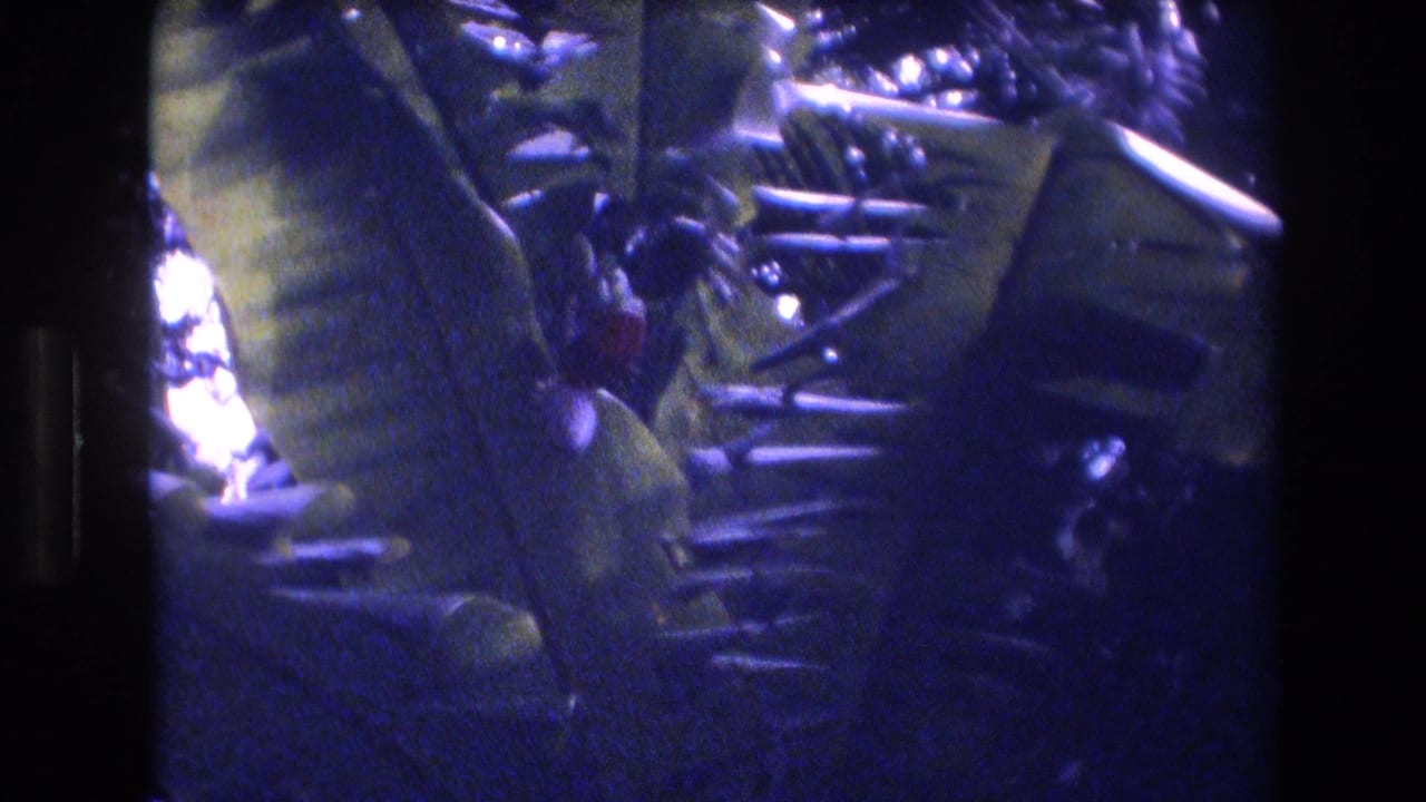 Blue-tinted 1977 Honolulu 8mm frame showing overlapping tropical foliage and broad leaves in dappled light.