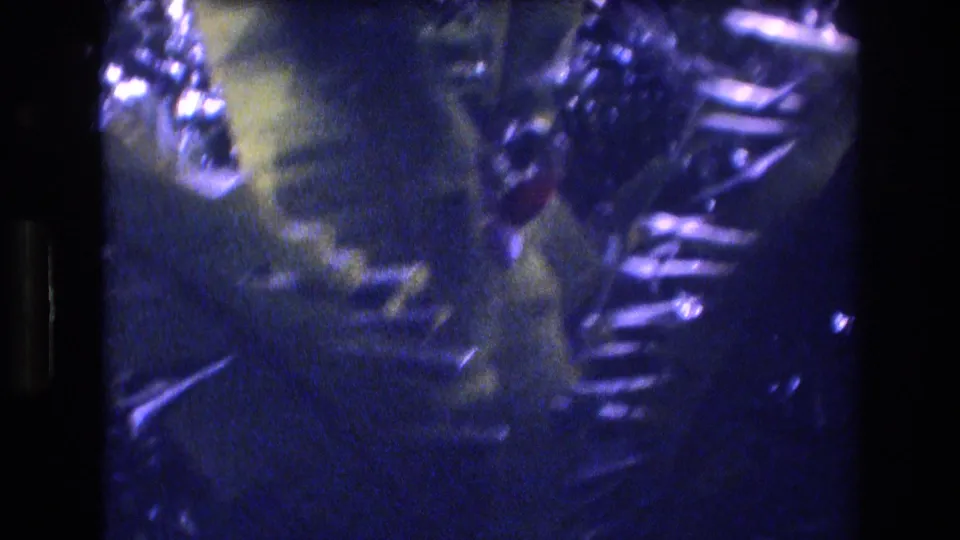 Close 1977 Honolulu home-movie view of broad tropical leaves and shadowed vegetation with strong blue film cast.