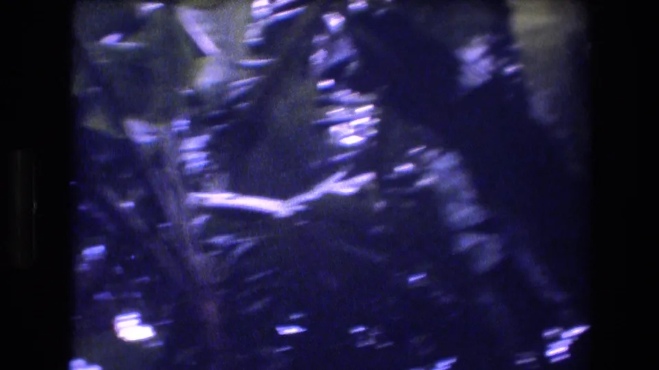 End frame of a 1977 Honolulu foliage pan, showing blurred tropical leaves, dark plant shapes, and cool blue 8mm color shift.