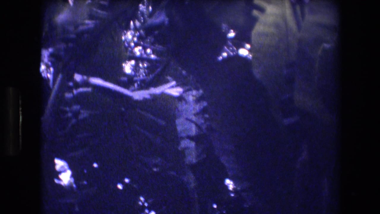 1977 Honolulu, Oahu 8mm home-movie frame showing dense tropical foliage in purple-blue shadow, with sunlit leaf highlights and a soft handheld scan look.