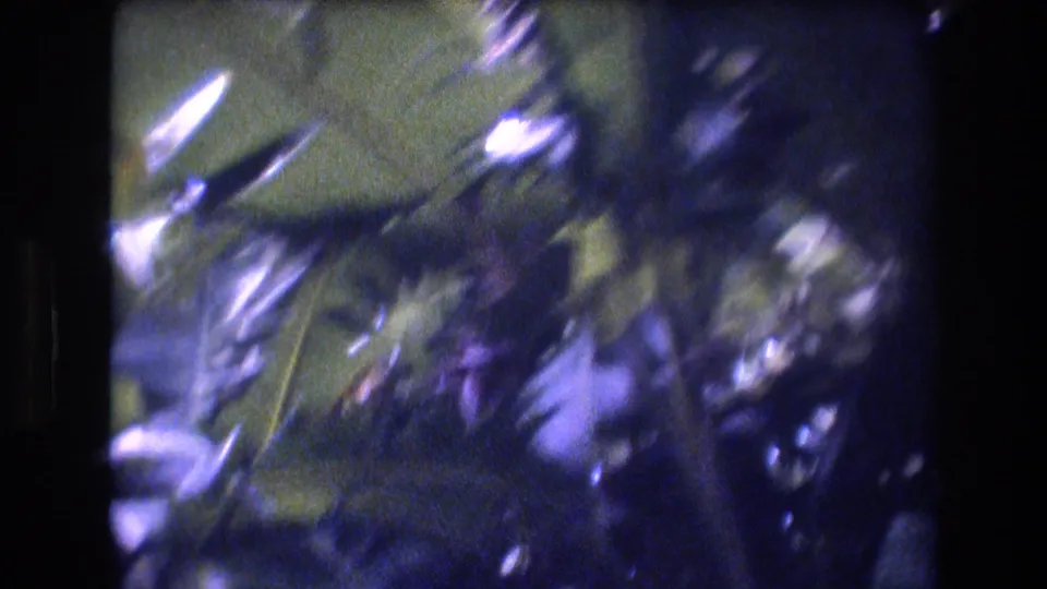 1977 Honolulu, Oahu home-movie frame with blurred close tropical leaves and undergrowth, showing handheld motion, bright sun flecks, and a purple-blue film cast.