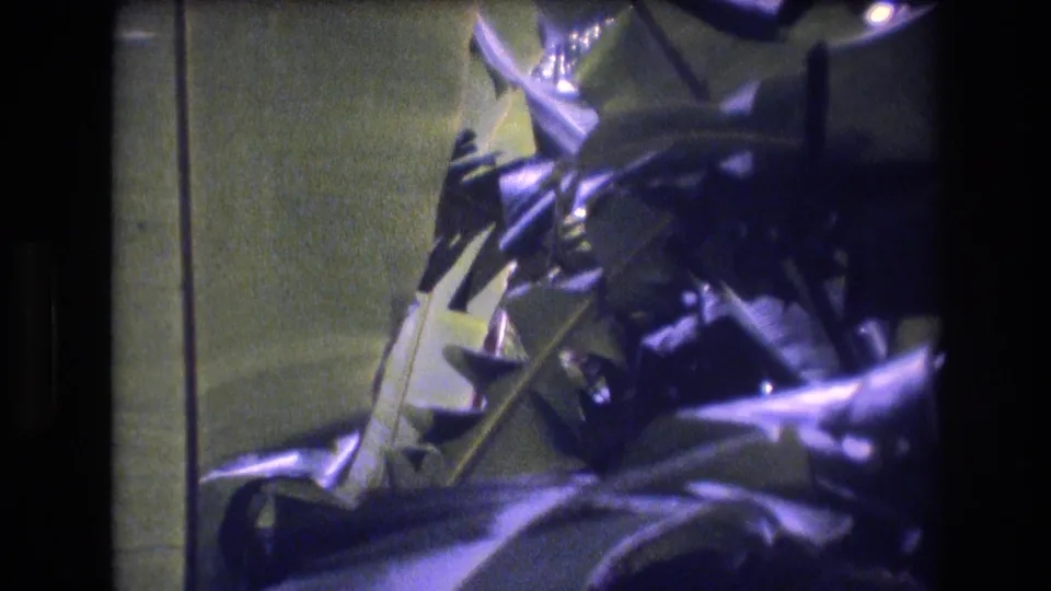 1977 Honolulu 8mm frame showing layered tropical leaves and dark plant shapes with a vertical background line and visible film grain.