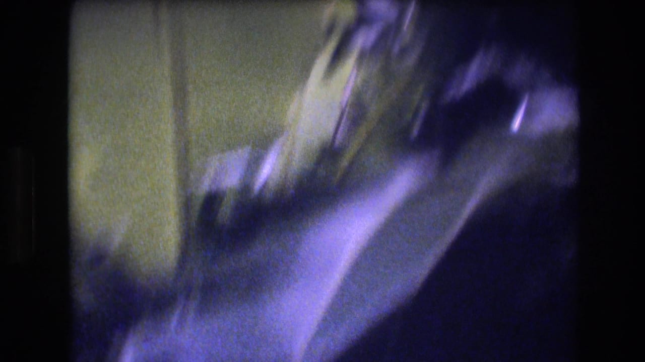 Blurred 1977 Honolulu home-movie frame showing shaded tropical foliage, a possible path edge, and strong purple-blue film color shift.