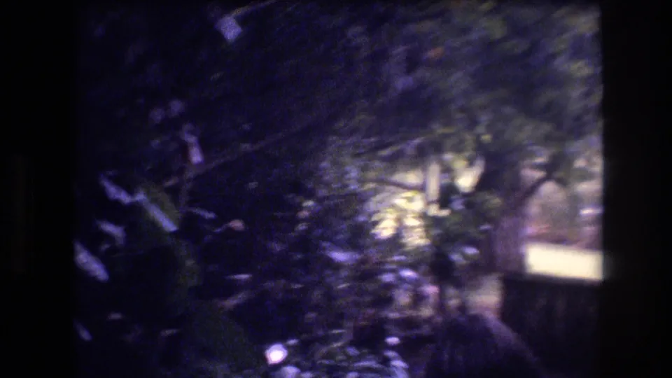 Handheld 8mm frame from Honolulu, Oahu in 1977 showing palm-like fronds, layered greenery, and bright patches of sunlight through tropical vegetation.