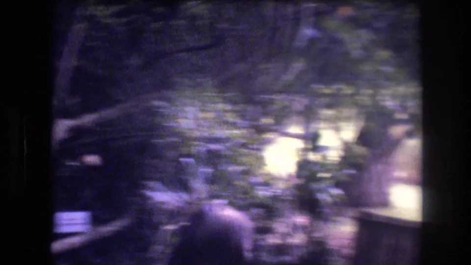 Blurred 1977 Honolulu, Oahu 8mm frame showing layered tropical greenery, slender branches, and filtered sunlight during a handheld movement through foliage.