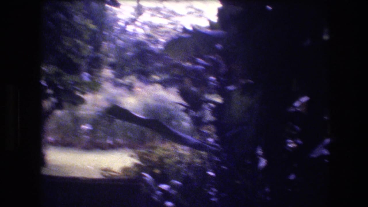 In this 1977 Honolulu home-movie frame, a small blurred figure appears among dense backyard foliage beside a dark fence or barrier.