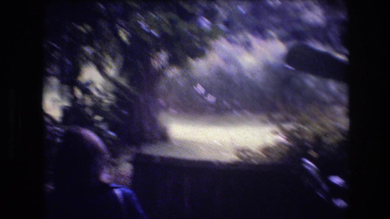 Partial person in shadow beside a dark fence and leafy garden growth.