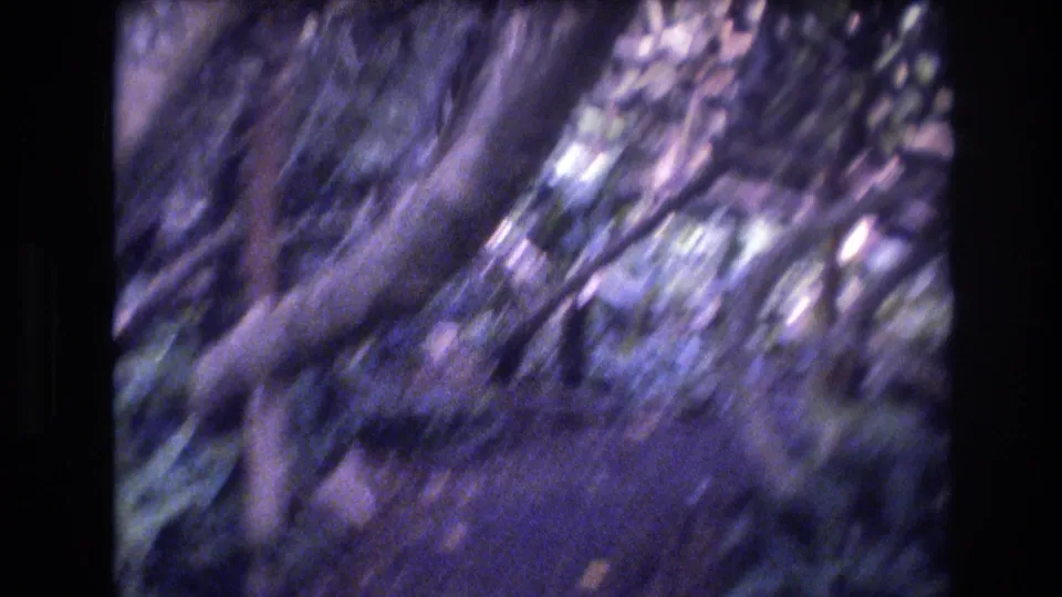 The handheld camera passes close to tangled brambles and a narrow overgrown path, with the frame heavily blurred by motion.
