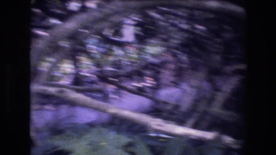 Motion-blurred 1977 8mm Honolulu, Oahu view moving past low branches, shaded vegetation, and dense tropical undergrowth.