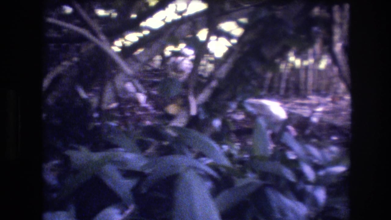 White bird on the ground in dense tropical vegetation.