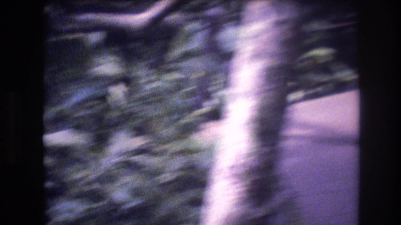 1977 Honolulu, Oahu 8mm frame looking down a narrow wooden path through dense tropical plants, softened by handheld motion blur and cool film color.