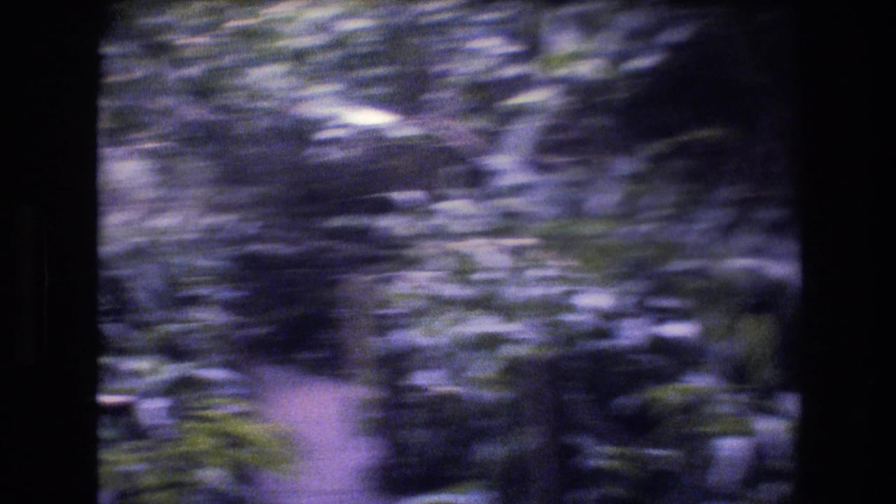 Blurred walkway curving through thick greenery with dark vertical frame edge.