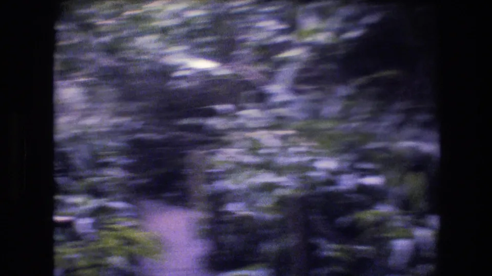 Handheld 8mm view in Honolulu, Oahu showing a walkway receding through lush foliage, with heavy motion blur and a dark central film or scan edge.