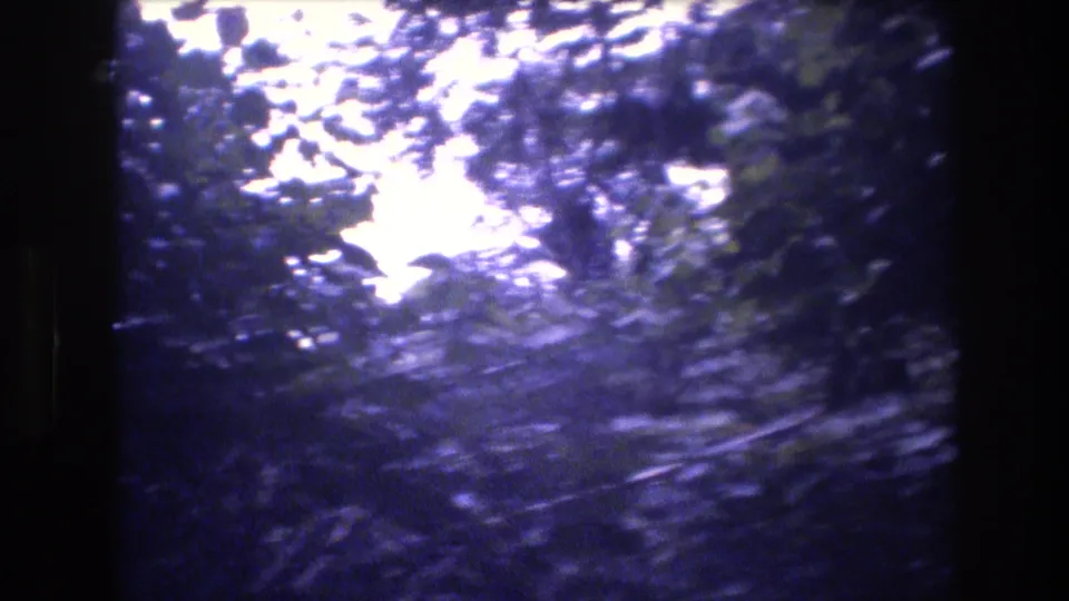 Cool-toned 8mm frame from Honolulu, Oahu with bright sky filtering through foliage and blurred greenery around the jungle walkway.