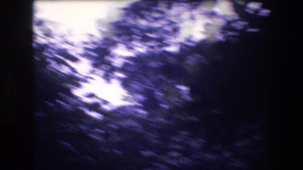 Handheld 1977 Honolulu, Oahu 8mm frame with blurred dark tree canopy and bright patches of sky above a tropical path.