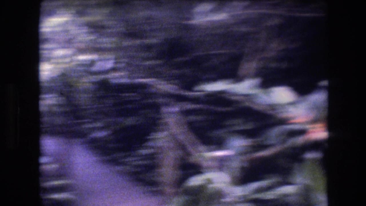 Handheld 1977 Honolulu 8mm frame with blurred tropical foliage, branches, and a faint path edge during camera movement.