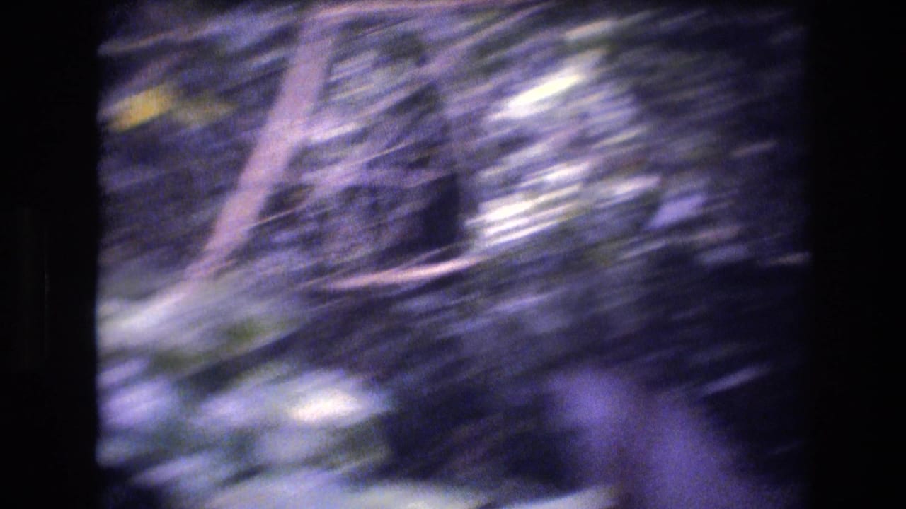 Soft, motion-filled 8mm view of dense Honolulu greenery with tree limbs and bright leaf highlights.