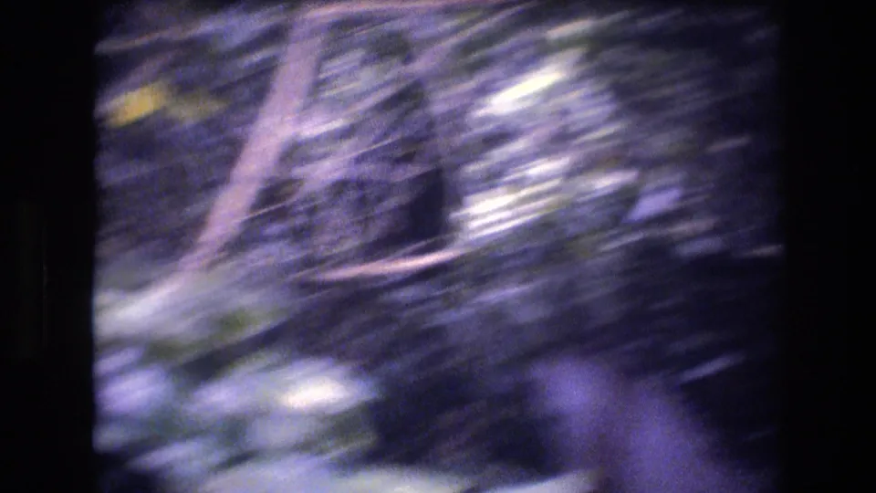 Soft, motion-filled 8mm view of dense Honolulu greenery with tree limbs and bright leaf highlights.
