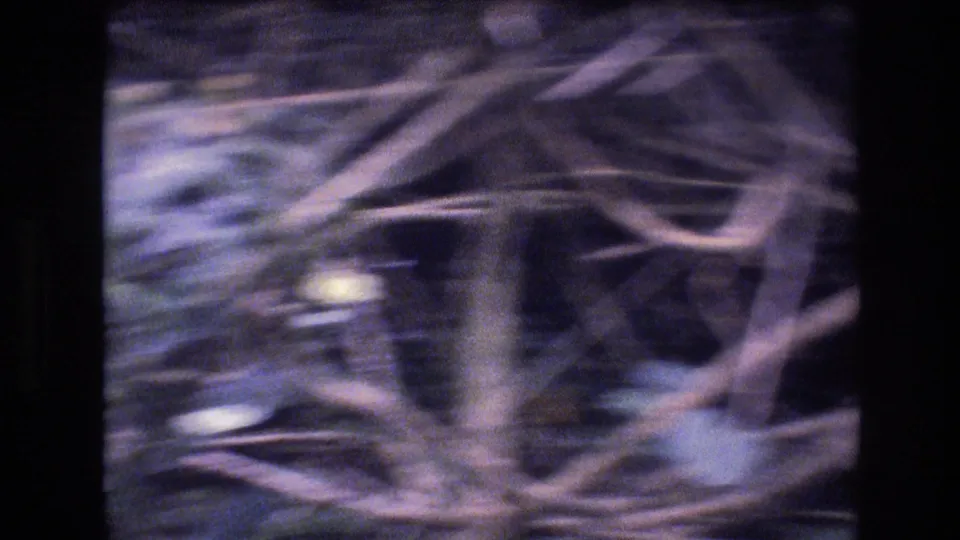 Blurred 1977 Honolulu home-movie frame showing overlapping tropical branches, a walkway area, and a wooden railing.
