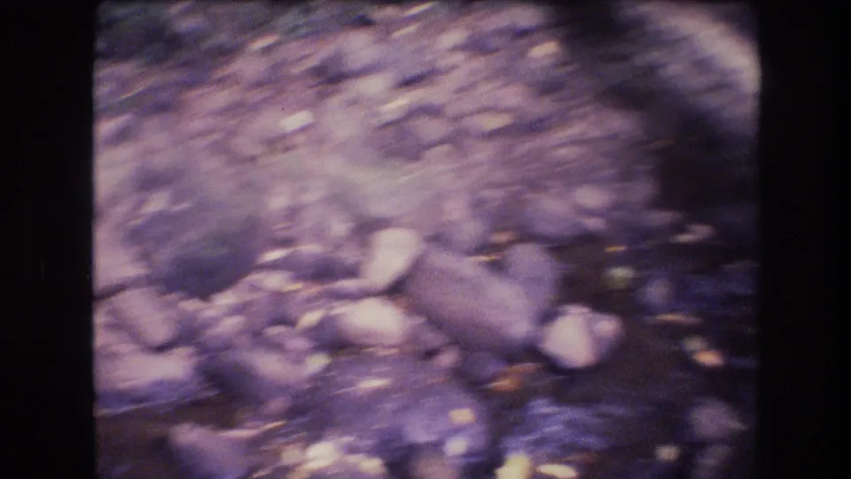 1977 Honolulu, Oahu 8mm frame showing a blurred close view of rounded rocks, shallow water, and scattered leaves in a wooded stream bed.