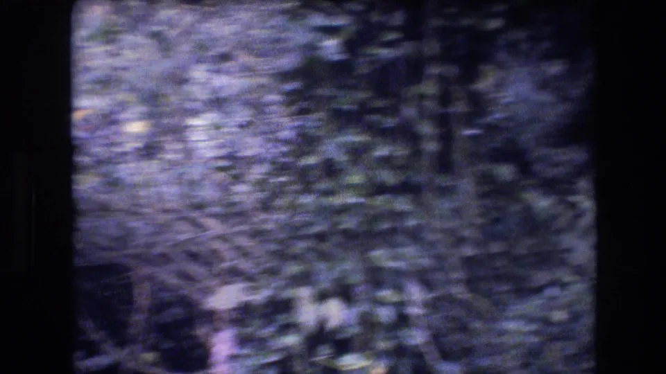 1977 Honolulu, Oahu 8mm frame showing a soft, handheld view through dark tree trunks and dense tropical greenery with a blue-purple film cast.