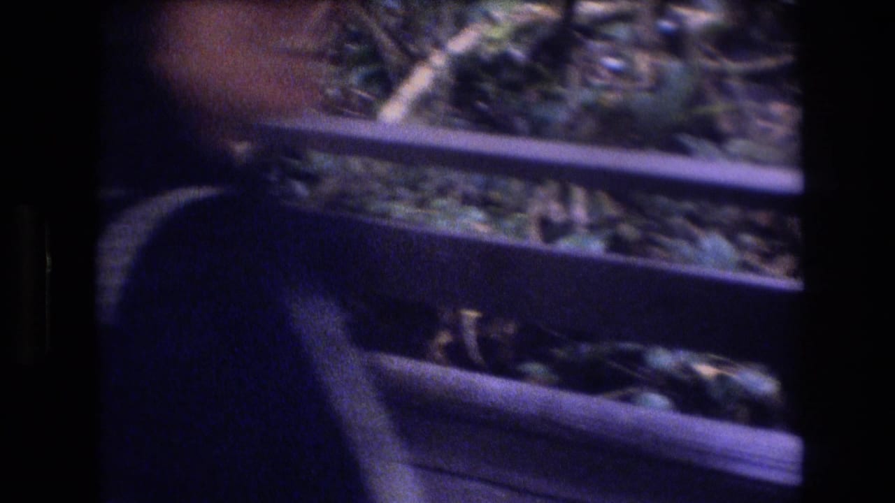 A person in a dark blue top appears from behind beside wooden railings, with dense foliage beyond in the supplied 1977 Honolulu home-movie clip.