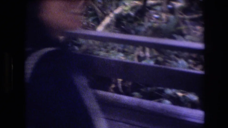 A person in a dark blue top appears from behind beside wooden railings, with dense foliage beyond in the supplied 1977 Honolulu home-movie clip.